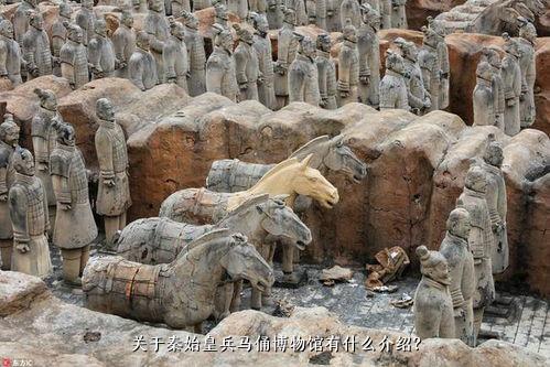 关于秦始皇兵马俑博物馆有什么介绍？