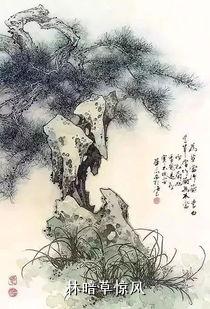 林暗草惊风