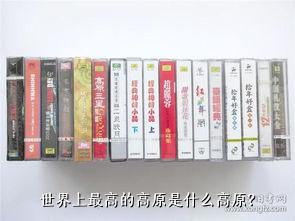 世界上最高的高原是什么高原？