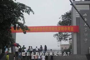 巴县走狗的由来是什么？