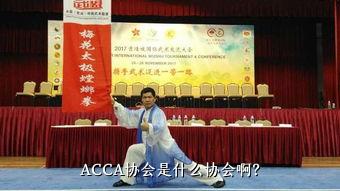 ACCA协会是什么协会啊？