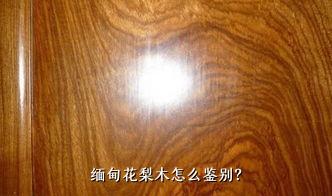 缅甸花梨木怎么鉴别？