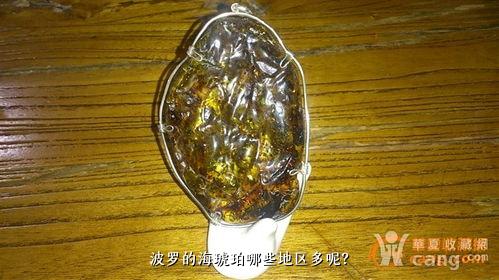 波罗的海琥珀哪些地区多呢？