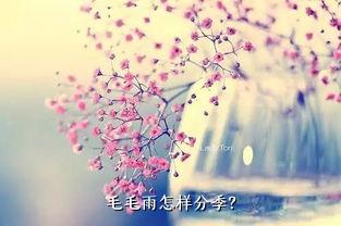 毛毛雨怎样分季？