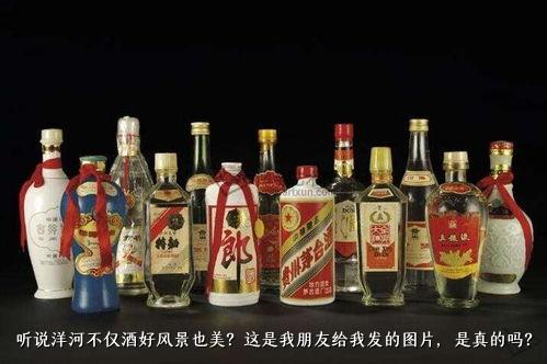 听说洋河不仅酒好风景也美？这是我朋友给我发的图片，是真的吗？