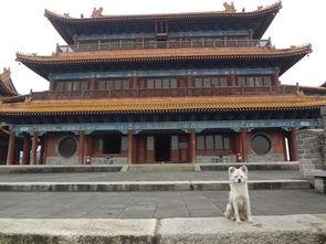 为什么昆明市的弥勒寺没有寺，西岳庙没有庙？