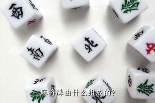 麻将牌由什么组成的？