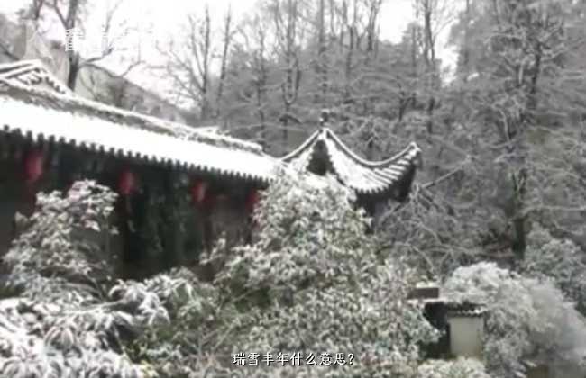 瑞雪丰年什么意思？