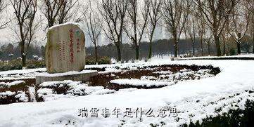 瑞雪丰年是什么意思