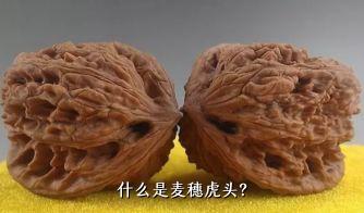 什么是麦穗虎头？