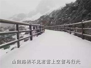 山回路转不见君雪上空留马行处