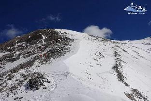 山回路转不见君雪上空留马行处描写了怎样的画面？