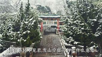 山回路转不见君，雪山空留马行处什么意思