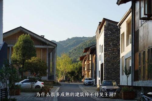 为什么很多成熟的建筑师不待见王澍？