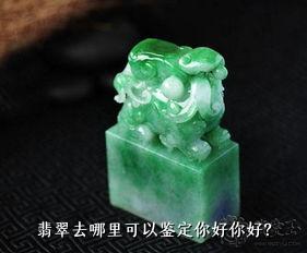 翡翠去哪里可以鉴定你好你好？