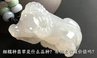 细糯种翡翠是什么品种？有什么收藏价值吗？