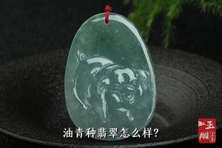 油青种翡翠怎么样？