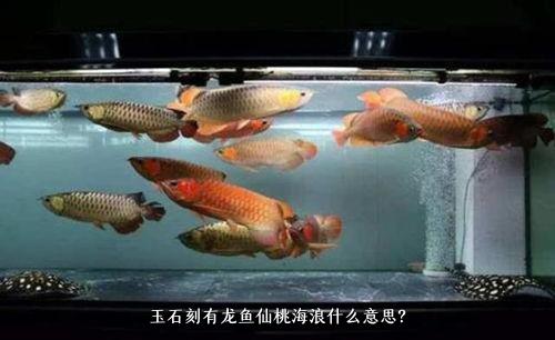 玉石刻有龙鱼仙桃海浪什么意思？