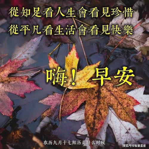 农历九月十七阳历是什么时候