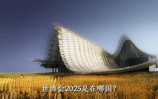 世博会2025是在哪国？