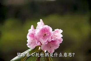 望帝春心托杜鹃是什么意思？