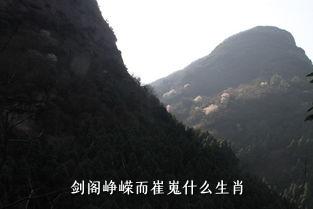 剑阁峥嵘而崔嵬什么生肖