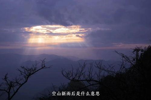 空山新雨后是什么意思