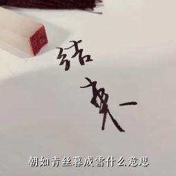 朝如青丝暮成雪什么意思