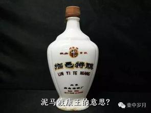 泥马渡康王的意思？