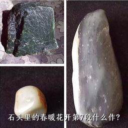 石头里的春暖花开第7段什么作？