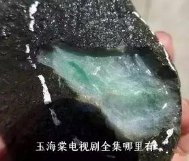 玉海棠电视剧全集哪里有