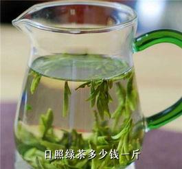 日照绿茶多少钱一斤