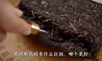 黑砖和茯砖有什么区别，哪个更好