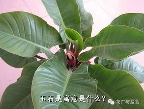 玉石是寓意是什么？