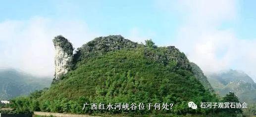 广西红水河峡谷位于何处？