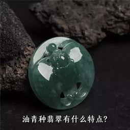 油青种翡翠有什么特点？