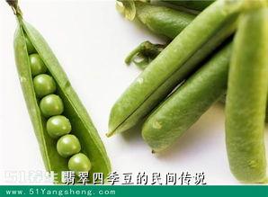 翡翠四季豆的民间传说