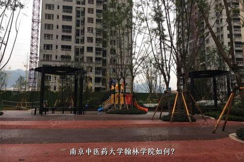 南京中医药大学翰林学院如何？