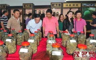 牙雕金亮师傅 猛犸象牙雕刻师傅，有熟悉的吗