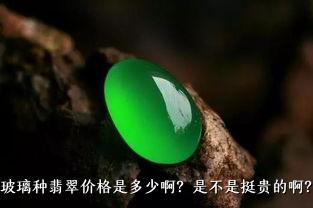 玻璃种翡翠价格是多少啊？是不是挺贵的啊？