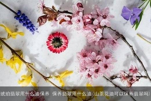 琥珀翡翠用什么油保养 保养翡翠用什么油(山茶花油可以保养翡翠吗)