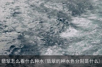 翡翠怎么看什么种水(翡翠的种水色分别是什么)