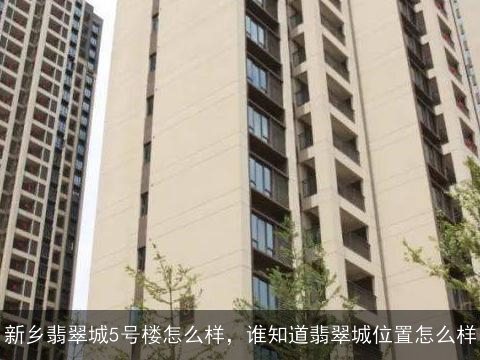 新乡翡翠城5号楼怎么样，谁知道翡翠城位置怎么样