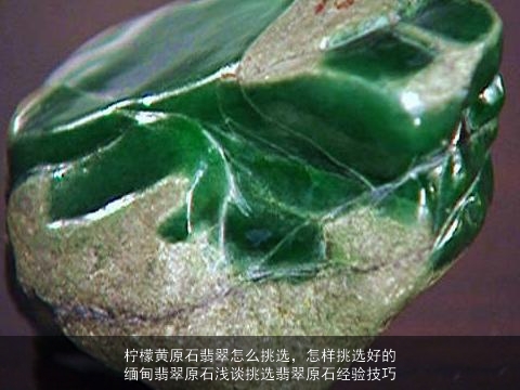 柠檬黄原石翡翠怎么挑选，怎样挑选好的缅甸翡翠原石浅谈挑选翡翠原石经验技巧