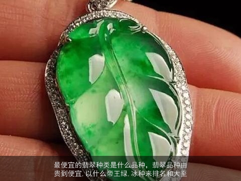 最便宜的翡翠种类是什么品种，翡翠品种由贵到便宜,以什么帝王绿,冰种来排名和大至