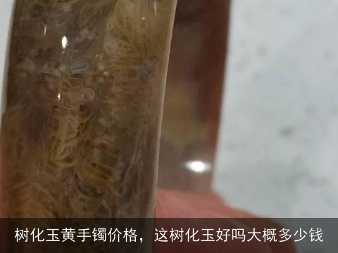 树化玉黄手镯价格，这树化玉好吗大概多少钱