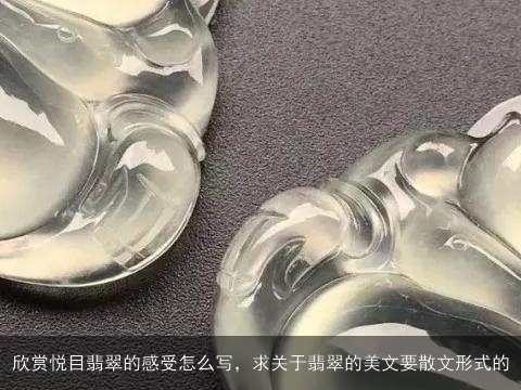 欣赏悦目翡翠的感受怎么写，求关于翡翠的美文要散文形式的