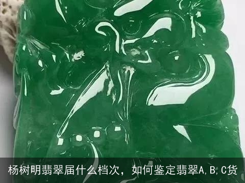 杨树明翡翠届什么档次，如何鉴定翡翠A,B,C货