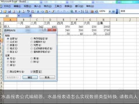 水晶报表公式编辑器，水晶报表语怎么实现数据类型转换,请教高人