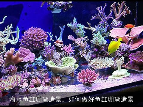 海水鱼缸珊瑚造景，如何做好鱼缸珊瑚造景